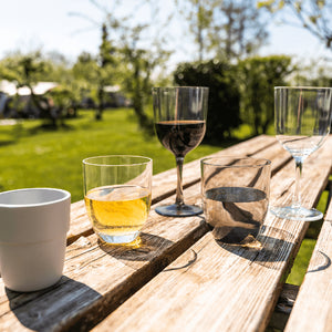 TRAVELLIFE FERIA WINE GLASS CLEAR (2)-Tamworth Camping